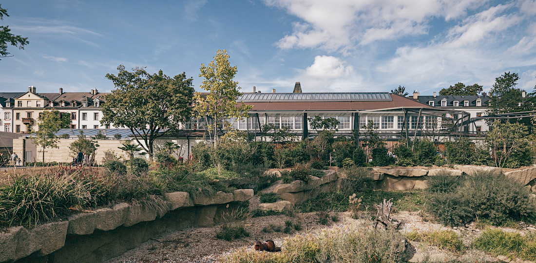 Vogelhaus - Zoo Basel