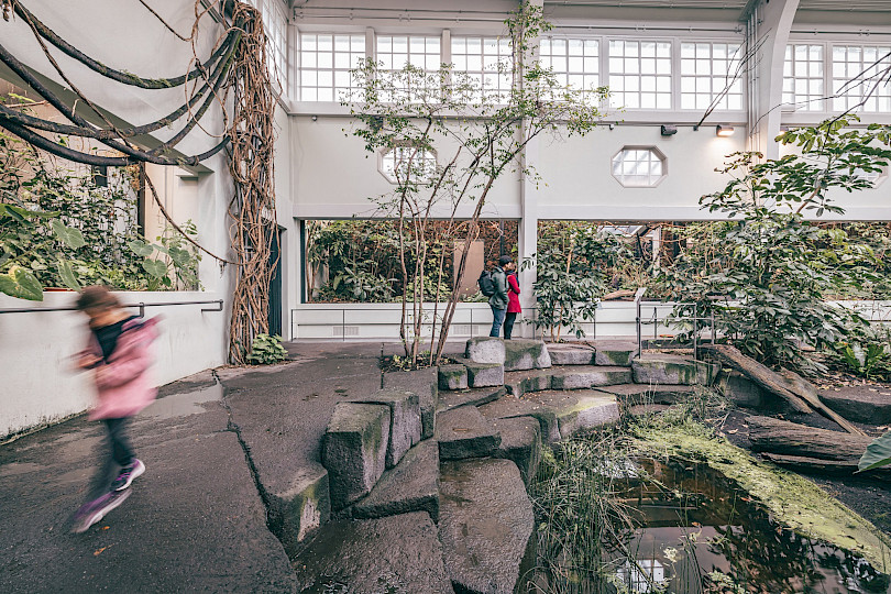 Vogelhaus - Zoo Basel